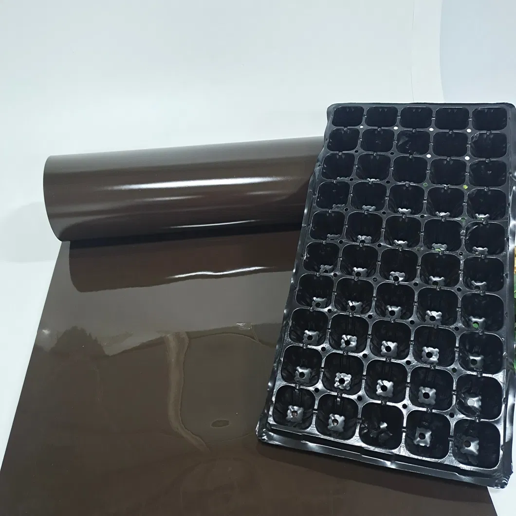 High Quality PS Material for Snack Box with SGS