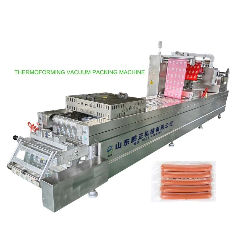 Innovative Automatic Thermoforming Vacuum Packaging Machine for Food Sausage/Fish/Shrimp/Steak/Beef/Beef/Dried Bean Curd/Salt Meat/Chicken/Dried Persimmon