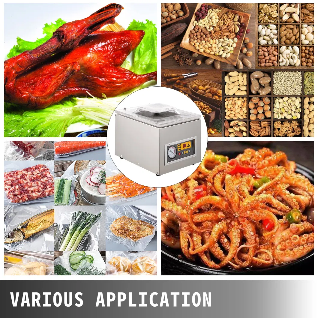 120W Vacuum Chamber Sealer Food Sealing Machine Commercial Packing Machine