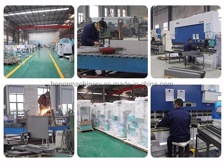 China Factory High Speed Bean/Fertilizer/Seed/Food/Rice/Sugar Weighing Packing Machine