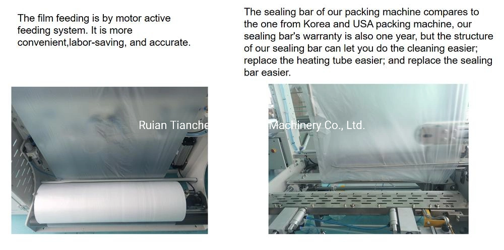 Fully-Automatic Plastic Paper Tray Food Container Lunch Box Packing Machine and Case Machine Box Tape Sealing Machine