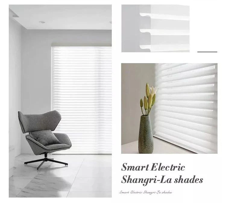 Blackout Triple Roller Shade Motorized System Tuya Automatic Electric Curtains Shangri-La Blinds