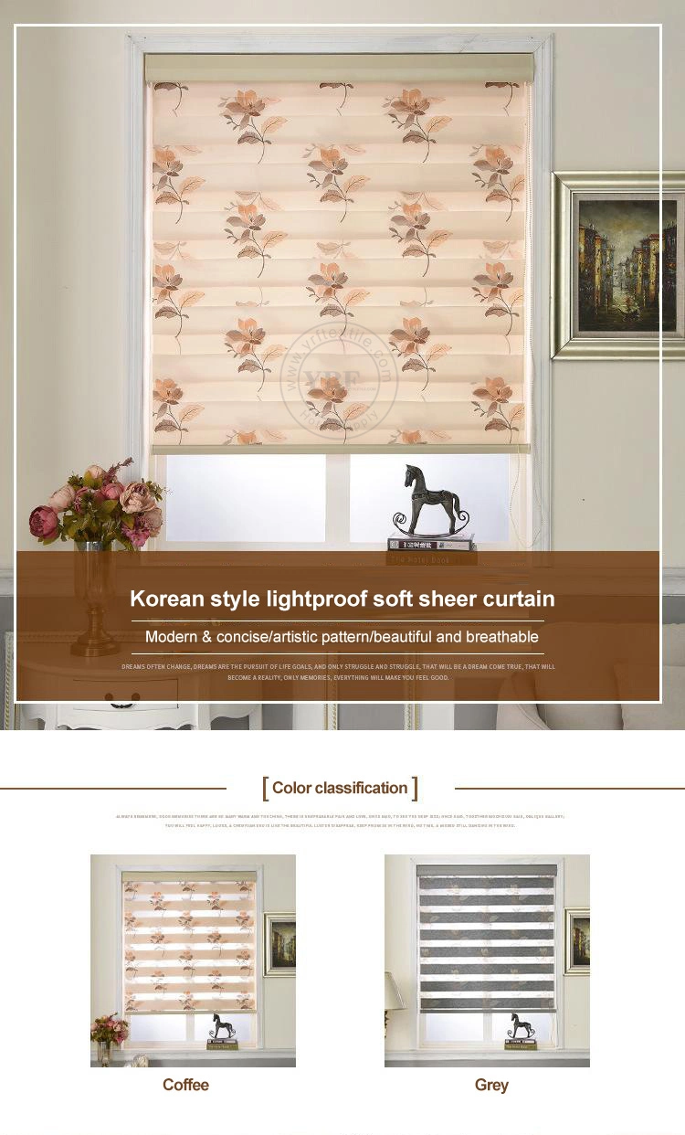 China Customized Roller Blinds Good Quality Fashion Combi Office