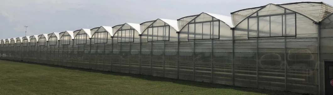 Agricultural Greenhouse HDPE Aluminum Silver Foil Reflective Sun Shade Net Cloth