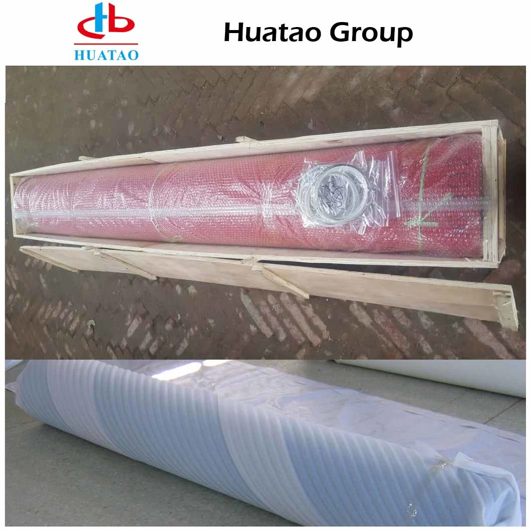 White, Blue Ht Polyester Dry Mesh Food Industry Screening Plain Weave Fabric with High Quality