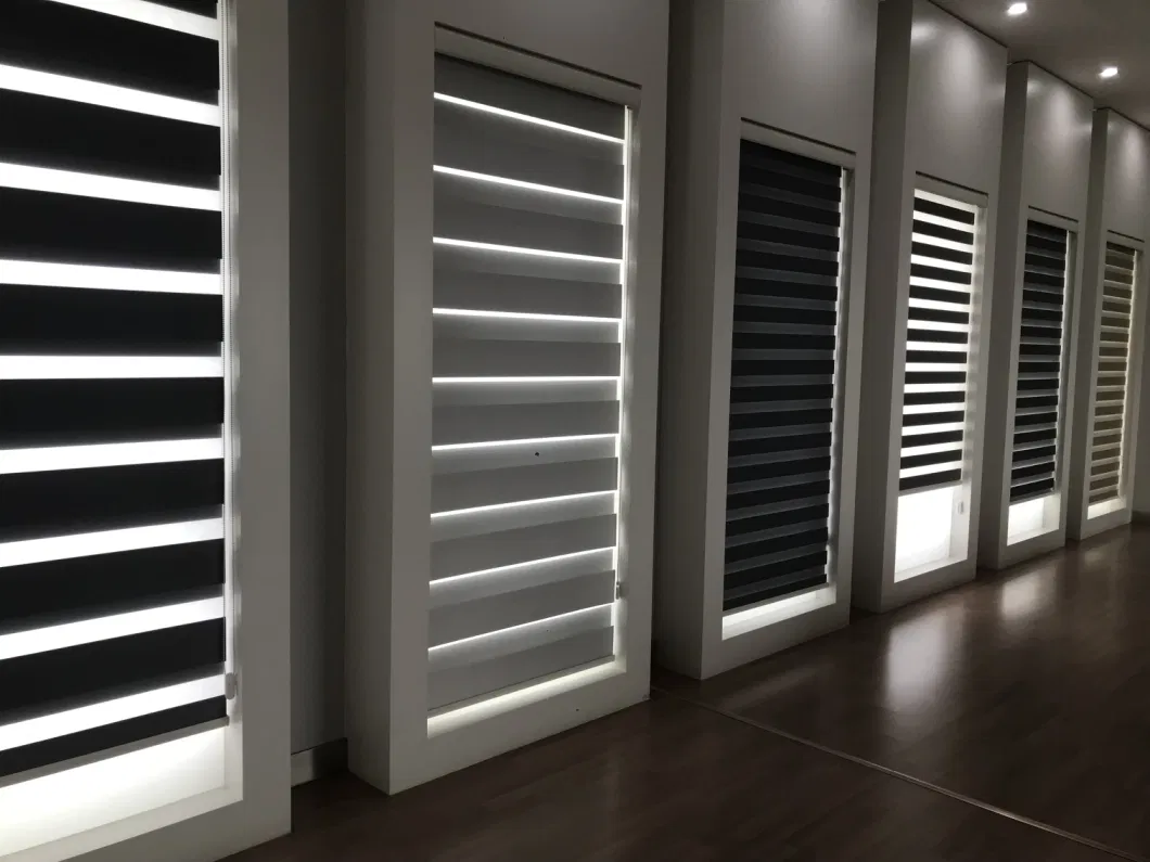 Zebra Blinds Retractable Double Roller Blinds