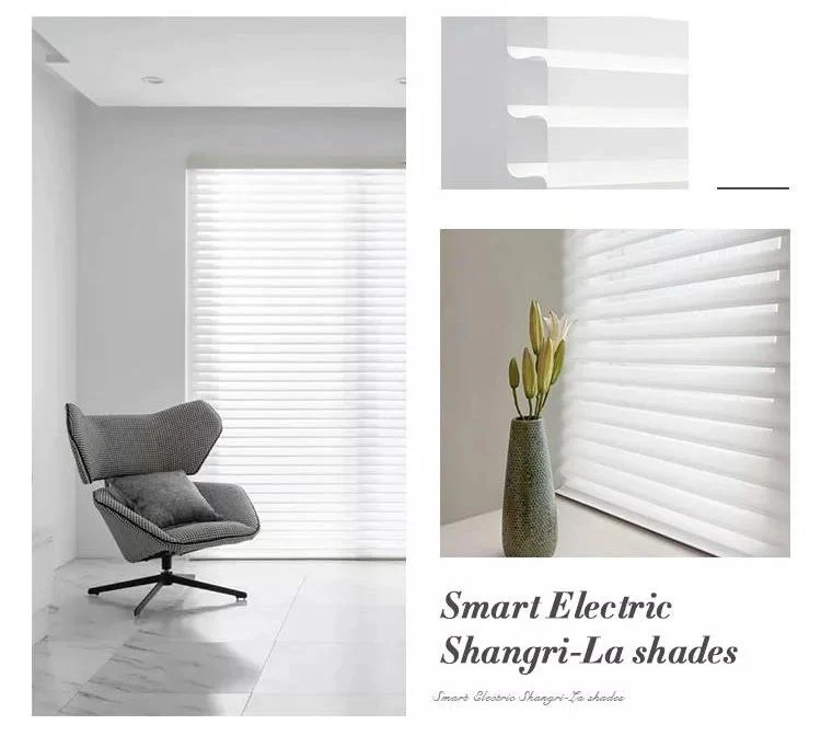 New Style Custom Smart Triple Blinds with Google Voice