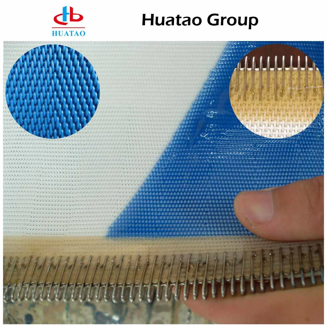 White, Blue Ht Polyester Dry Mesh Food Industry Screening Plain Weave Fabric with High Quality