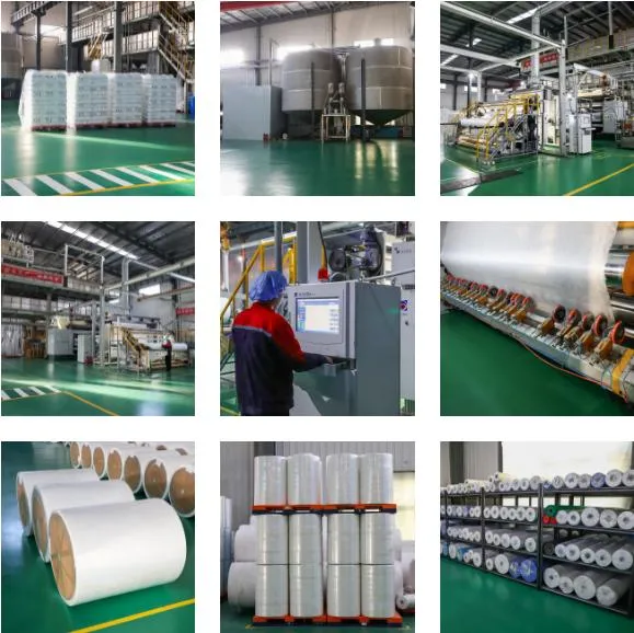 China High Quality Ss SMS PP Polyester 100% PP Spunbonded Non Woven Fabric Rolls