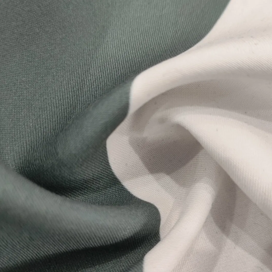 Two-Color Stripe Printing 100% Polyester Twill Microfiber Aop Printed Fabric for Shirt or T-Shirt