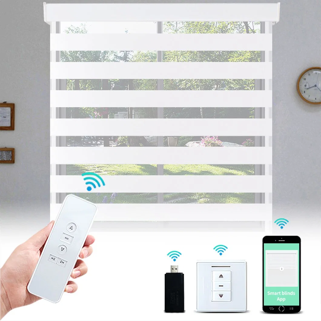 Indoor Electric Automated Motorized Smart Remote Battery Window Blackout Zebra Shade Blinds