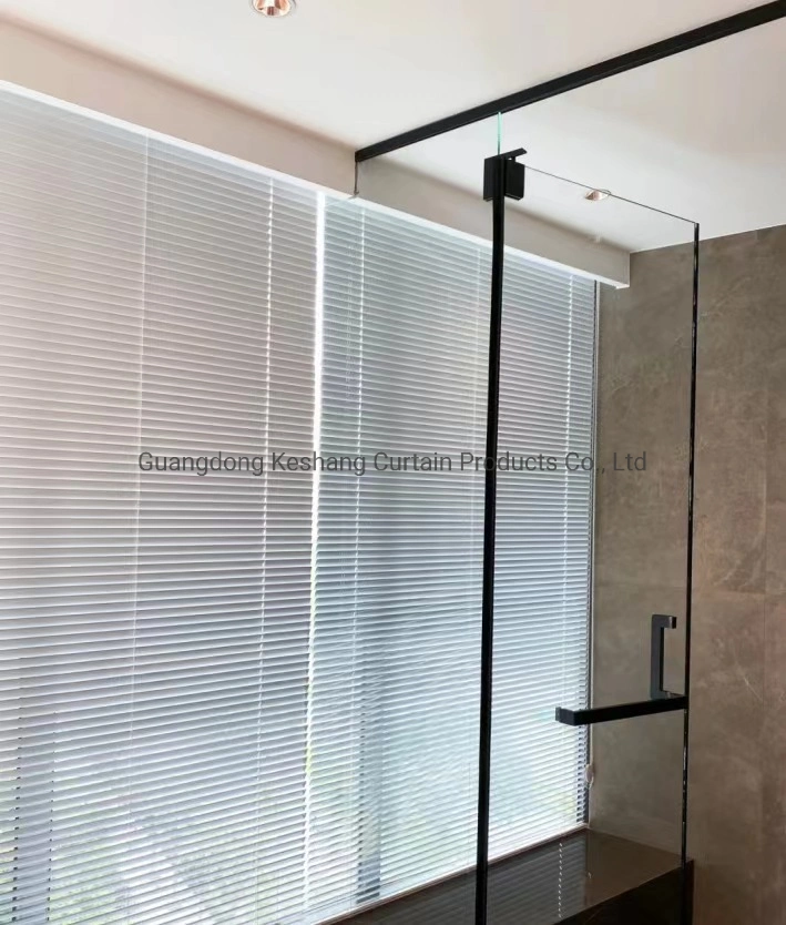 High Quality Factory Directly Sale Aluminum Alloy Track Luxury Electrophoresis Process Aluminum Blind Blackout Waterproof and Dust Proof Curtain Blind