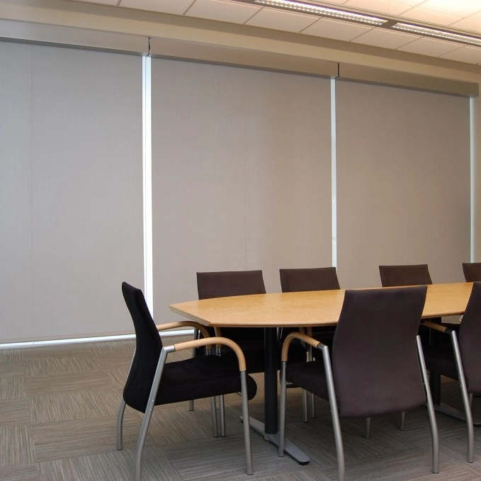 Blackout Roller Blinds with Window Shades and Curtains