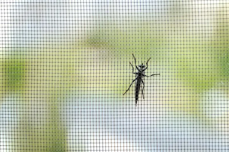 Wholesale Cheap Fiberglass Mesh Net Mosquito Net Mesh Window Roll up Window Screen Insect Screen Fiberglass for Door Mesh Screen