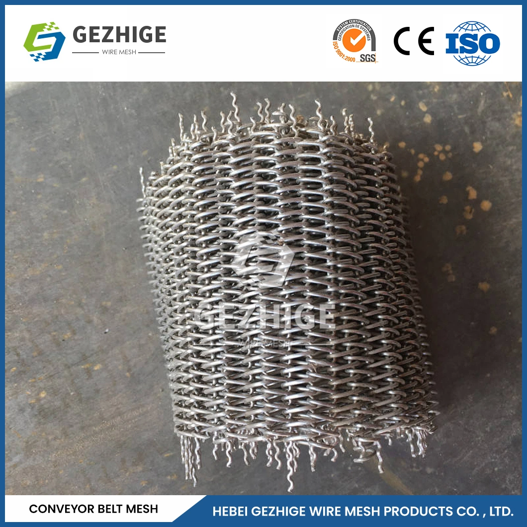 Gezhige Polyester Nylon Dry Woven Wire Mini Food Conveyor Belt Filter Fabric Screen Printing Polyester Mesh