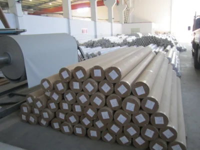 Protezione solare esterna rivestita in PVC di alta qualità protezione parasole avvolgibile in poliestere, ignifugo 3%-5% apertura tendine solari a rullo