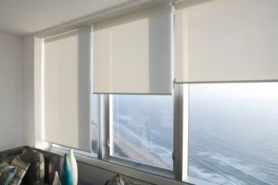 Protezione solare esterna rivestita in PVC di alta qualità protezione parasole avvolgibile in poliestere, ignifugo 3%-5% apertura tendine solari a rullo