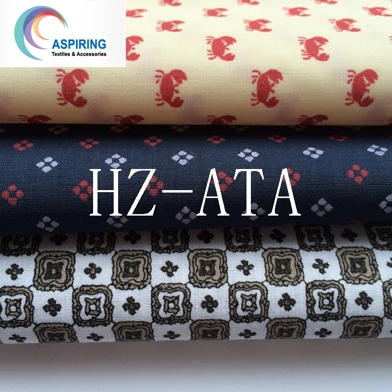 Tc Fabric / Poplin Fabric Woven Fabric for Clothing