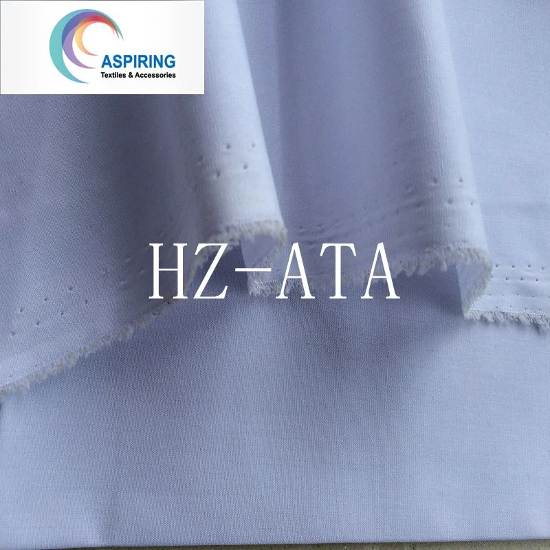 Tc Fabric / Poplin Fabric Woven Fabric for Clothing