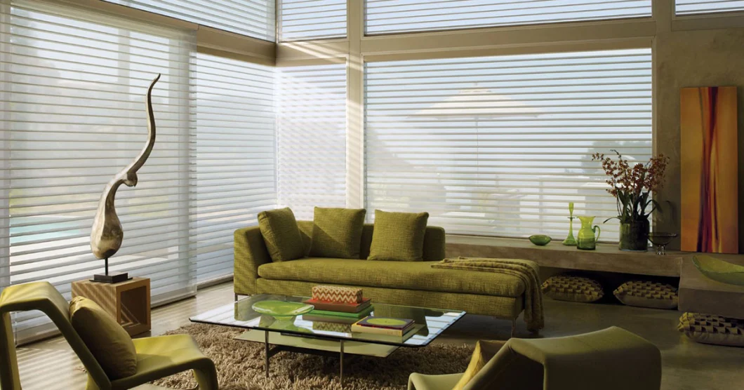 China Supplier New Style Pinhole Shangri-La Silhouette Solar Panel Blinds