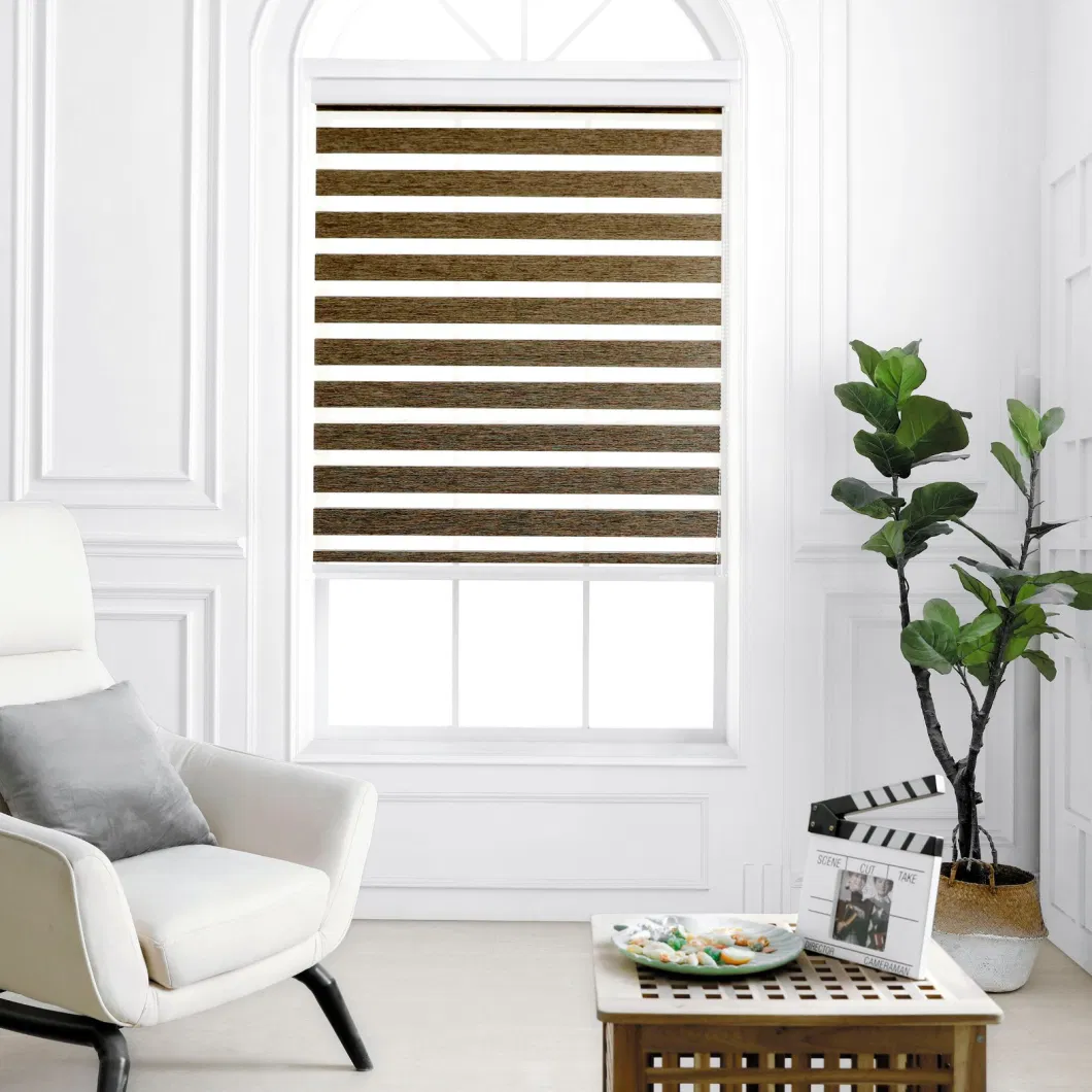 Motorized Double Layers Luxury Roller Blinds 100% Polyester Day &amp; Night Zebra Blind