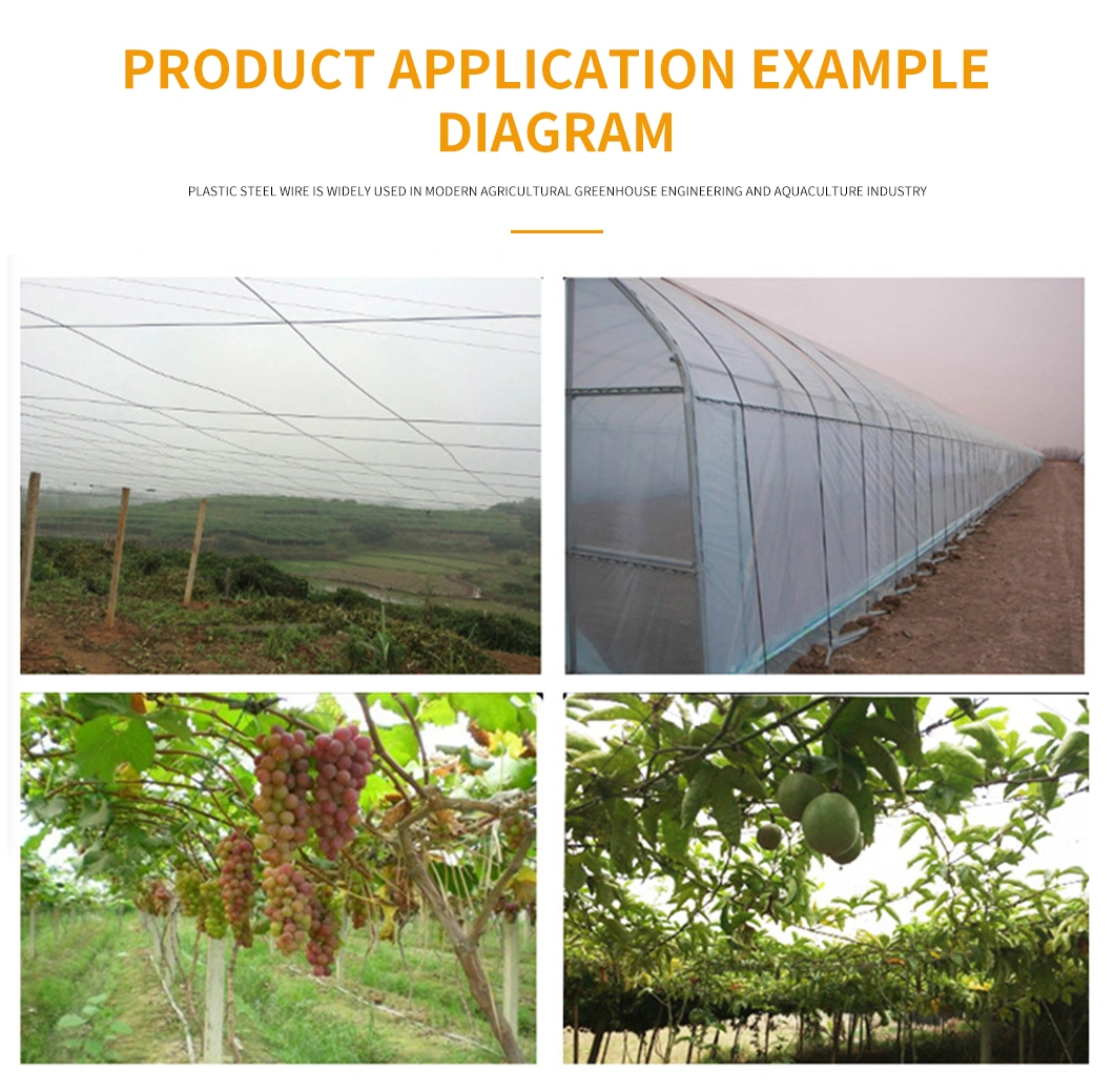 Agricultural Orchard Greenhouse Pet Polyester Plastic Steel Wire