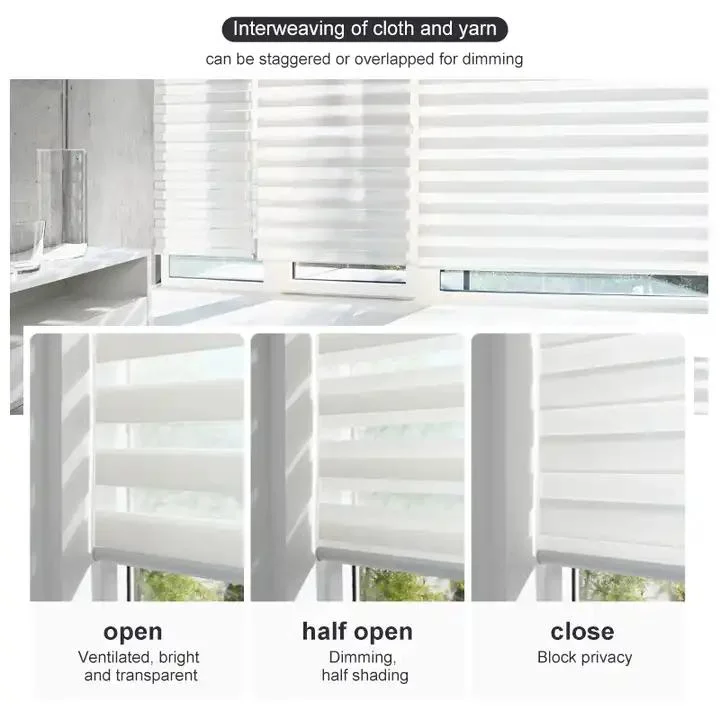 Window Automated Shade Fabric Blackout Day Night Roller Zebra Blind
