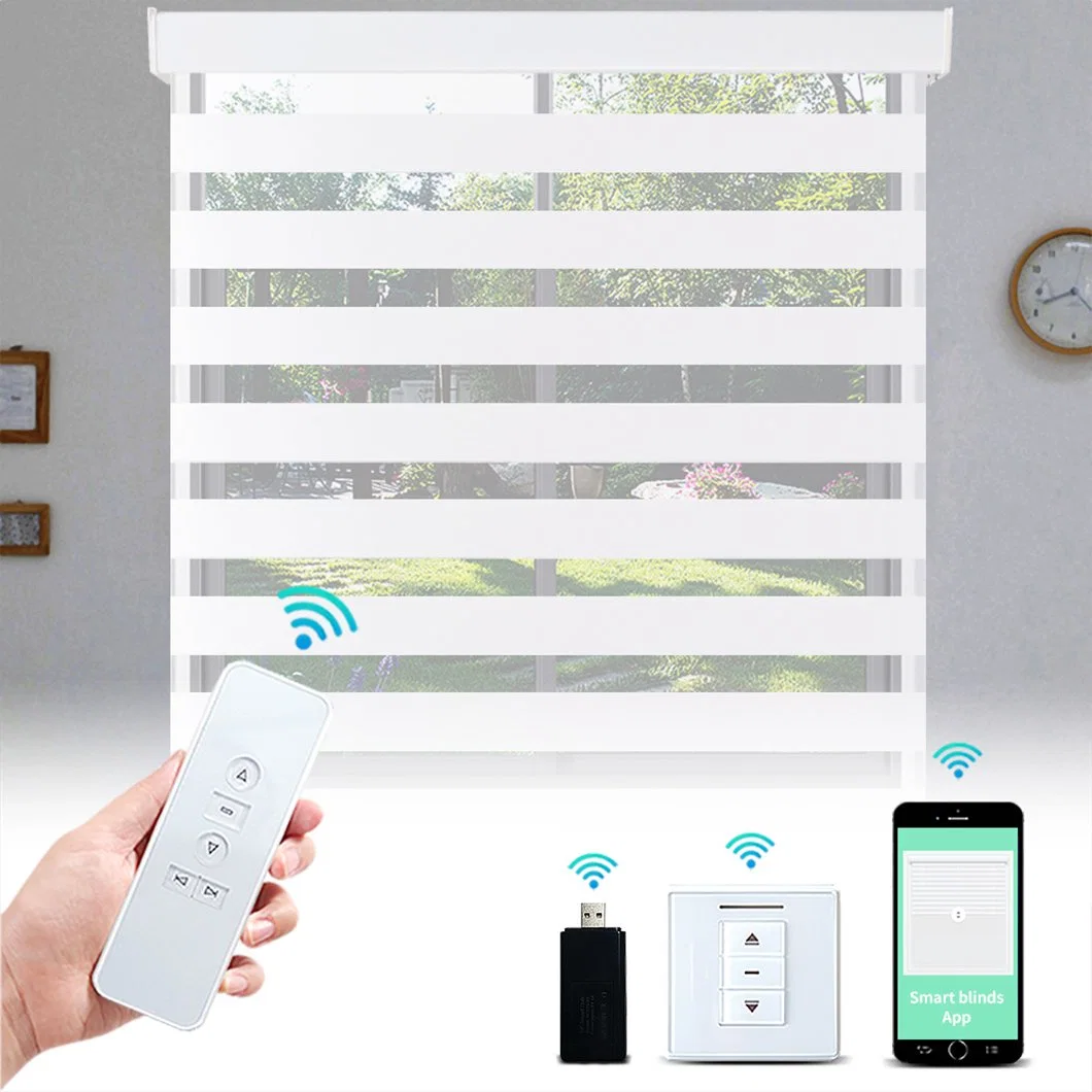 Electric Motorized Smart Remote Window Blackout Battery Double Zebra Roller Shade Blinds