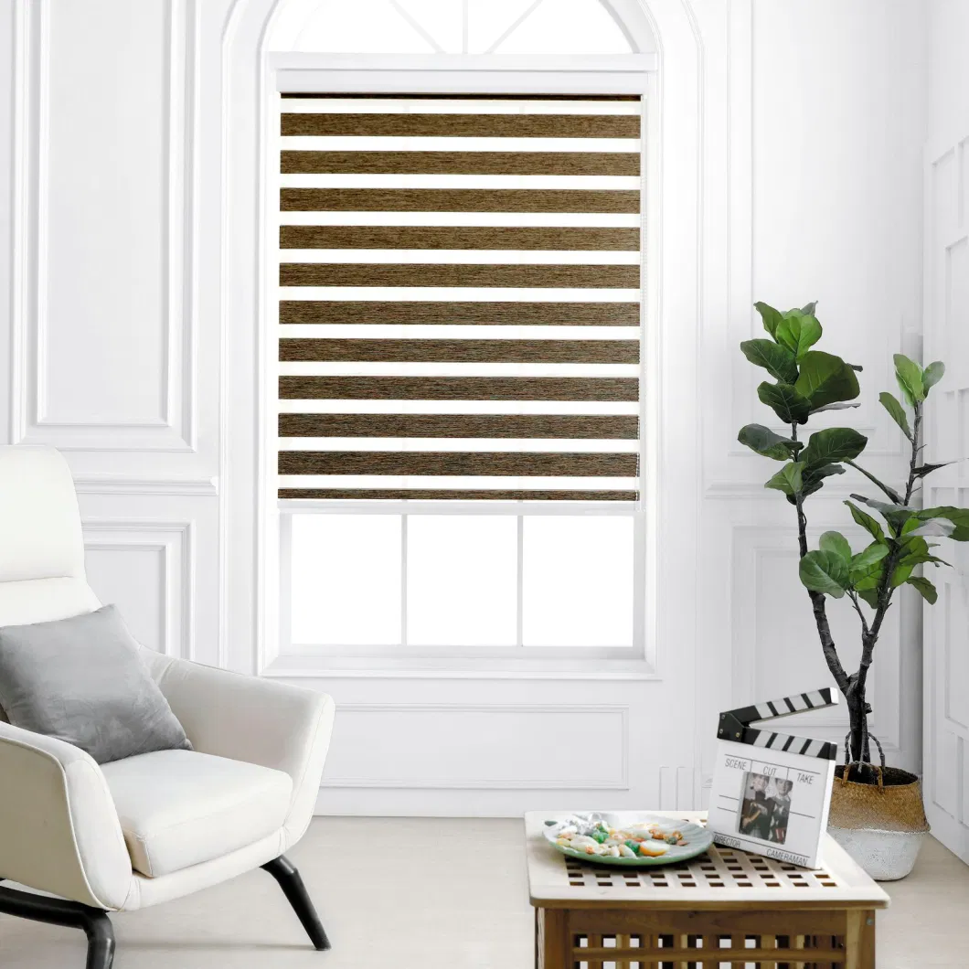 Factory Motorized Double Layers Luxury Roller Blinds 100% Polyester Day &amp; Night Zebra Blind