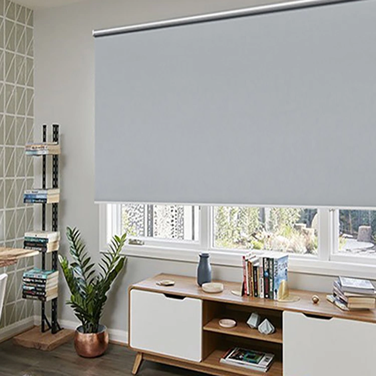 Manufacture High Quality Sunshade Manual Roller Blinds