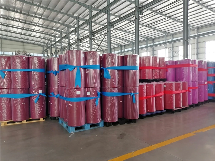 Sunshine PP Spunbond Nonwoven and Polyester Spunlace Nonwoven Fabric Printed Fabrics