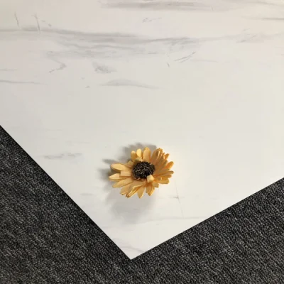 Made in China Natural Style Flooring Wall Tile with Low Price 6633p