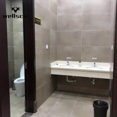 Chinese Soluble Salt and Double Loading 60 X 60 / 60 X 120 Cm Porcelain Tiles Porcelain Floor