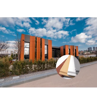 Togen Fire Resistant Hospital Facade Custom Wall Tile Cladding Natural Surface Clay Exterior Red Terracotta Panel