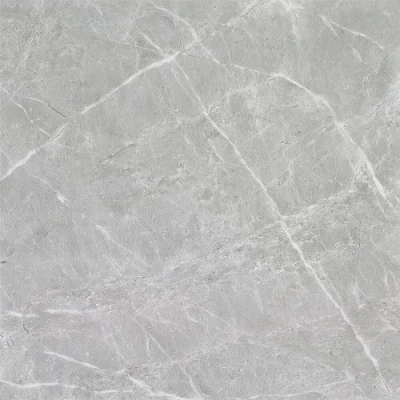 Made in China 600X600 Glazed Polished Ceramic Floor Wall Porcelain Tile