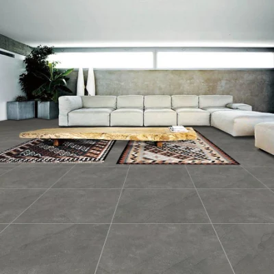 600*600 Ceramic Cement Flooring Tile for Commercial
