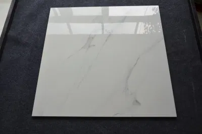Netherlands Commercial Use Sound Insulation Ceramic Floor Tile