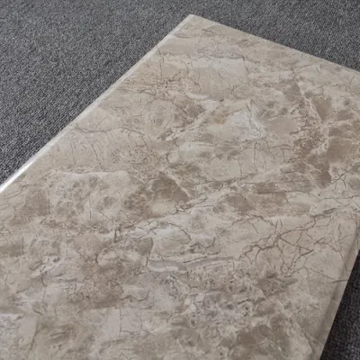 CE Approved Fashion Design Interior Glazed Ceramic Wall Tile with Factory Price