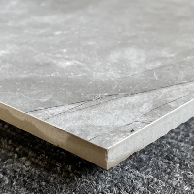 12X24 Rustic Indoor Matt Wall Ceramic Floor Tiles in China