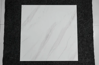 American Bath Room Adhesive 60 60 Ceram Floor Tile
