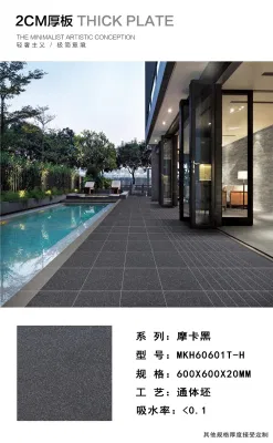 600*600*20mm Thickness Full Body Porcelain Tile for Floor Building Material
