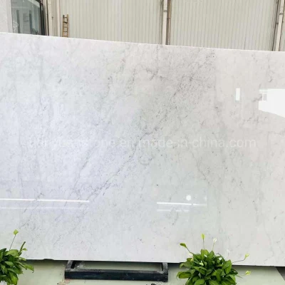 Carrara White Marble Tiles for Wall Table Countertop Floor Bathroom Kitchen Vanity