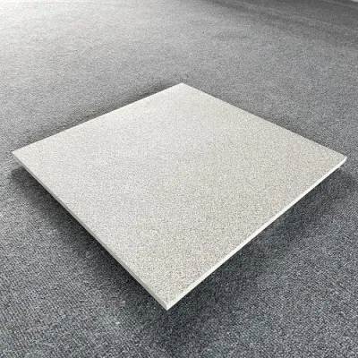 Outdoor Courtyard 600X600 Matt Floor Tile 2cm Thick Anti-Frost Porcelain Tile