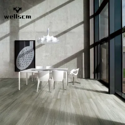 Industrial Kitchen Porcelain Floor Tile Light Grey Cement Look Full Body Gray Rustic Tile