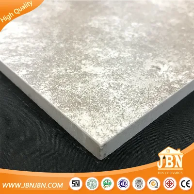 600X600mm 3D Inkjet Cement Rustic Floor Tile (JB6017D)