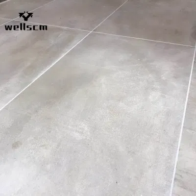 Chinese Soluble Salt and Double Loading 60 X 60 / 60 X 120 Cm Porcelain Tiles Porcelain Floor