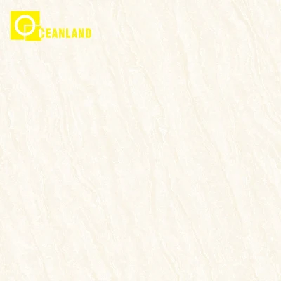 600X600mm Fashion Style Showroom Floor Polished Porcelain Wall Tile