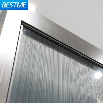 Foshan High Quality Gray Gun Stainless Steel Frame Xinyi Brand Shower Glass Door (Bl-B0118-C)