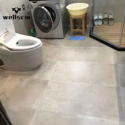 Chinese Soluble Salt and Double Loading 60 X 60 / 60 X 120 Cm Porcelain Tiles Porcelain Floor