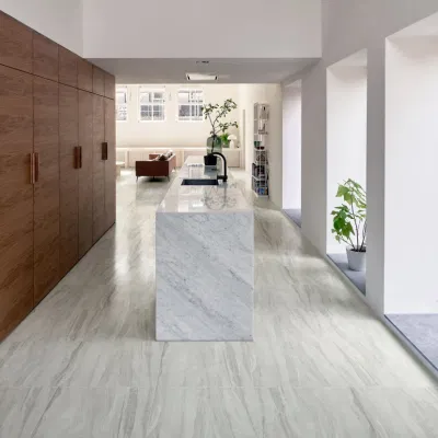 Concrete Design Glazed Porcelain Wall and Floor Tile (BR6001)